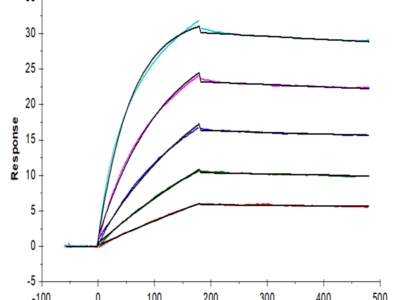 Human IL-17R alpha/CD217 Protein (CD7-HM2RA)