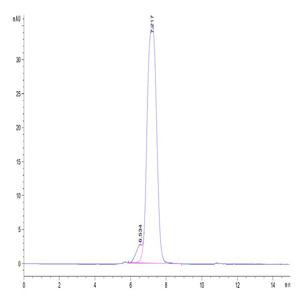 Human IL-17R alpha/CD217 Protein (CD7-HM2RA)