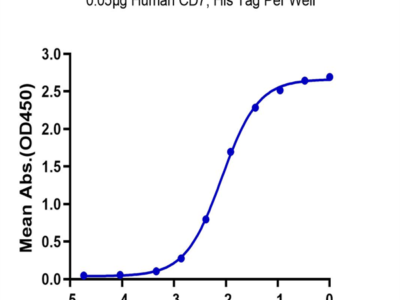 Human CD7 Protein (CD7-HM401)