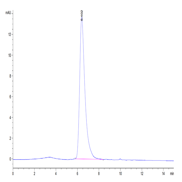 Human CD7 Protein (CD7-HM401)