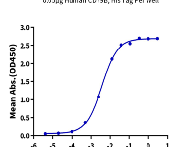 Human CD79B Protein (CD7-HM49B)