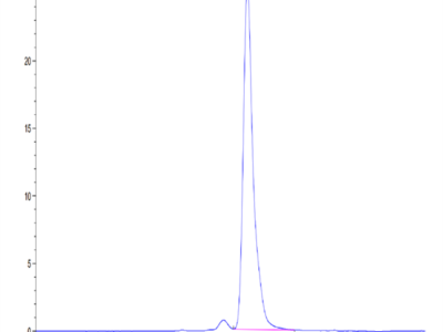 Mouse CD7 Protein (CD7-MM101)