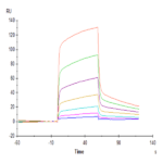 Mouse CD47 Protein (CD7-MM147)