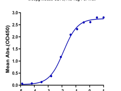 Mouse CD73/NT5E Protein (CD7-MM173)