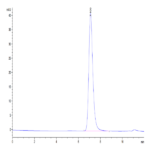 Mouse CD73/NT5E Protein (CD7-MM173)