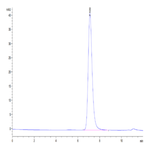 Mouse CD73/NT5E Protein (CD7-MM173)