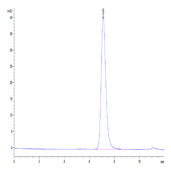 Mouse CD73/NT5E Protein (CD7-MM173)