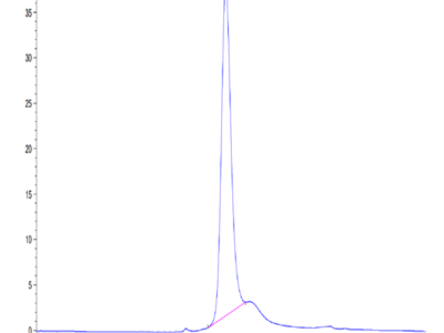 Mouse CD74/DHLAG Protein (CD7-MM175)