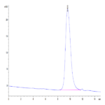 Mouse CD79B Protein (CD7-MM19B)