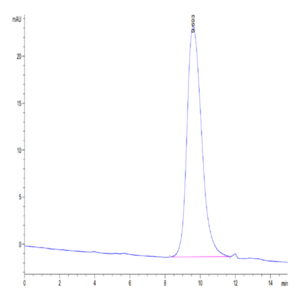 Mouse CD79B Protein (CD7-MM19B)