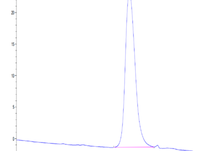 Mouse CD79B Protein (CD7-MM19B)