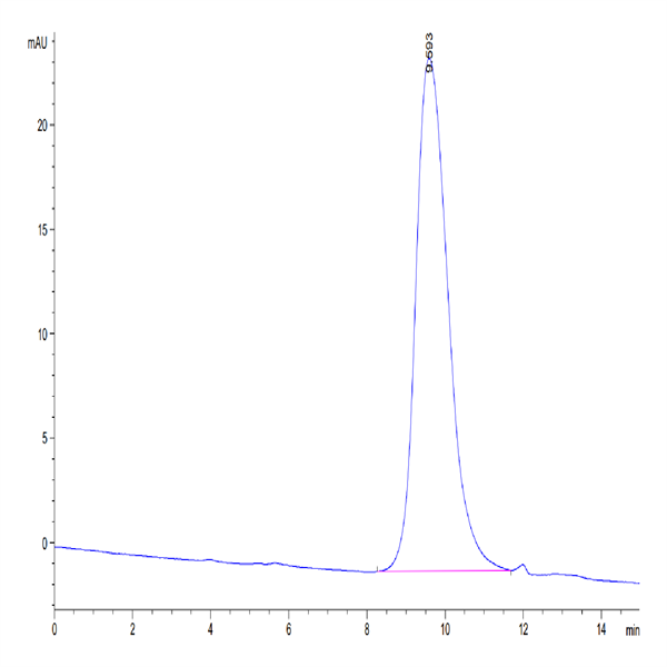 Mouse CD79B Protein (CD7-MM19B) Mouse CD79B Protein (CD7-MM19B)
