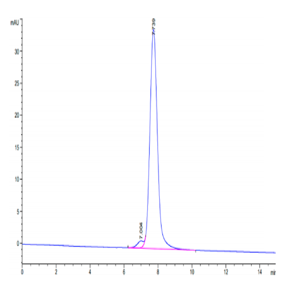 Mouse CD47 Protein (CD7-MM247)