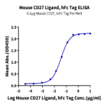 Mouse CD27 Ligand/CD70 Protein (CD7-MM270)