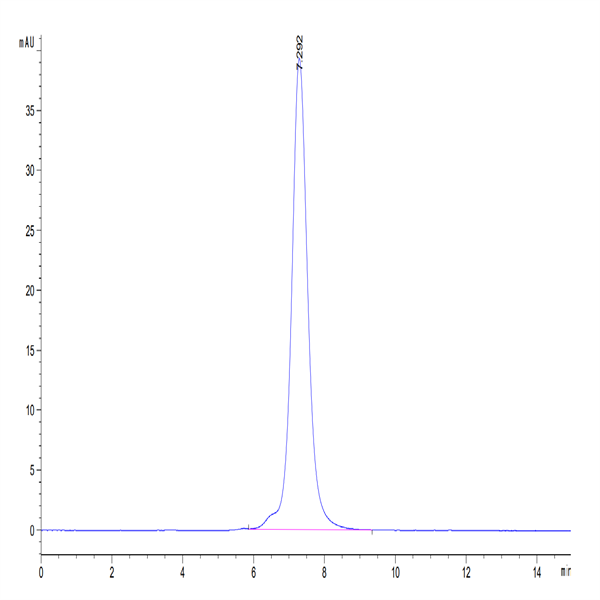 Mouse IL-17R alpha/CD217 Protein (CD7-MM2RA)
