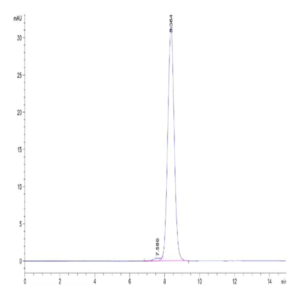 Rat CD47 Protein (CD7-RM247)