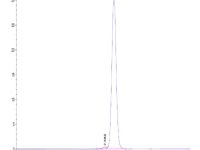 Rat CD47 Protein (CD7-RM247)