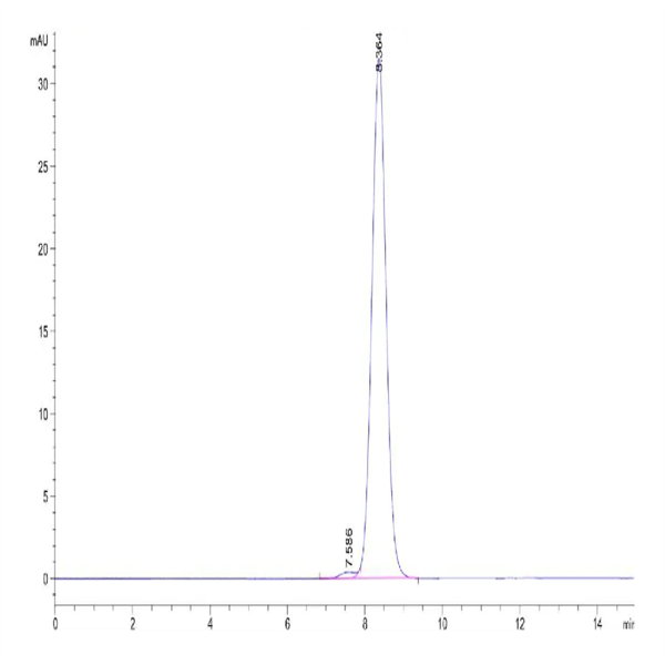 Rat CD47 Protein (CD7-RM247) Rat CD47 Protein (CD7-RM247)