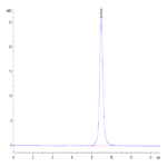 Canine CD28 Protein (CD8-CM128)