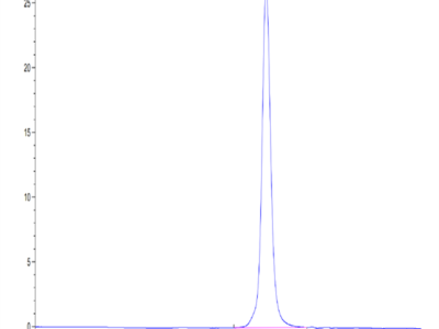 Canine CD28 Protein (CD8-CM128)