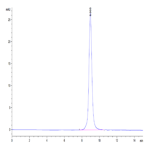 Canine CD28 Protein (CD8-CM128) Canine CD28 Protein (CD8-CM128)