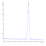 Cynomolgus CD83 Protein (CD8-CM183)