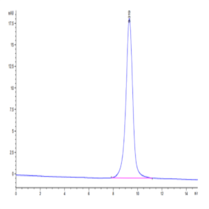 Cynomolgus CD83 Protein (CD8-CM183)