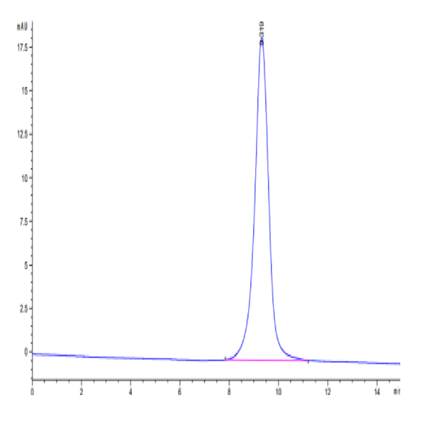 Cynomolgus CD83 Protein (CD8-CM183)