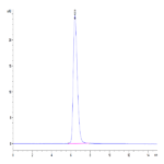 Canine CD28 Protein (CD8-CM328)