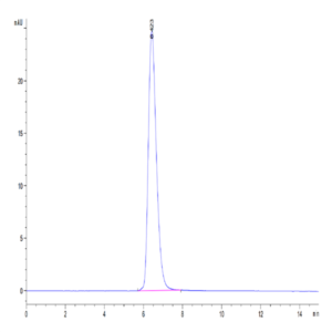 Canine CD28 Protein (CD8-CM328)