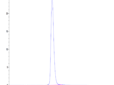 Canine CD28 Protein (CD8-CM328)