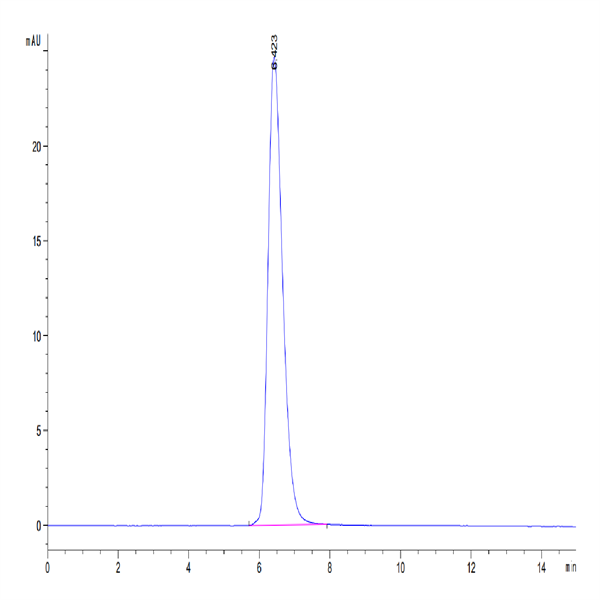 Canine CD28 Protein (CD8-CM328) Canine CD28 Protein (CD8-CM328)