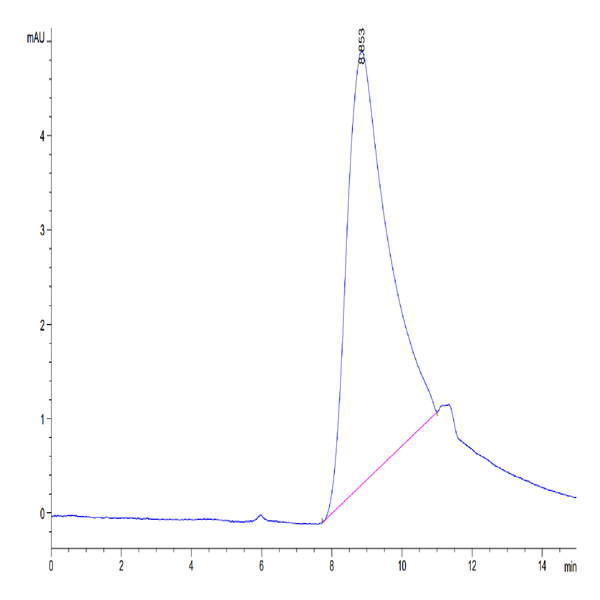Human CD83 Protein (CD8-HM183)