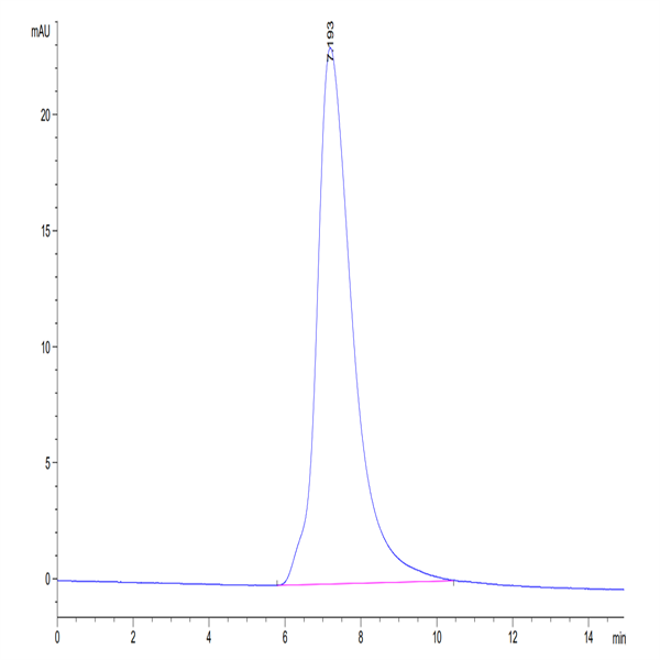 Human CD89 Protein (CD8-HM189) Human CD89 Protein (CD8-HM189)