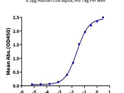 Human CD8 alpha/CD8A Protein (CD8-HM18A)