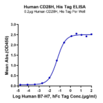 Human CD28H/IGPR-1 Protein (CD8-HM18H)