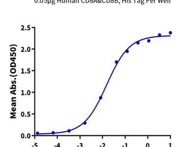 Human CD8 alpha&beta Heterodimer Protein (CD8-HM1AB)