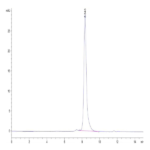 Human CD8 alpha&beta Heterodimer Protein (CD8-HM1AB)