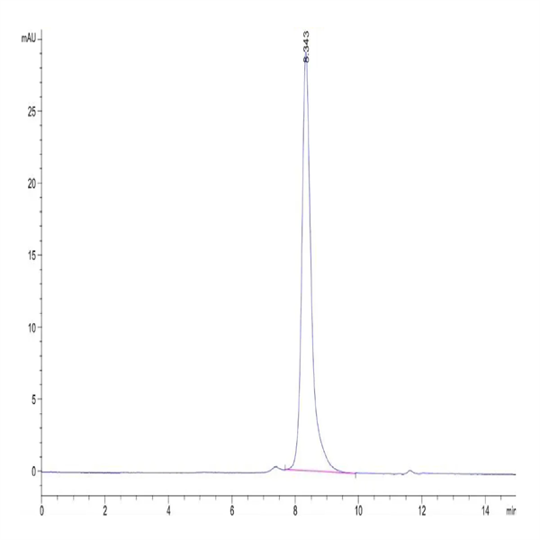 Human CD8 alpha&beta Heterodimer Protein (CD8-HM1AB)