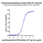 Human/Cynomolgus/Rhesus macaque CD28 Protein (CD8-HM228)