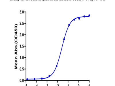 Human/Cynomolgus/Rhesus macaque CD28 Protein (CD8-HM228)