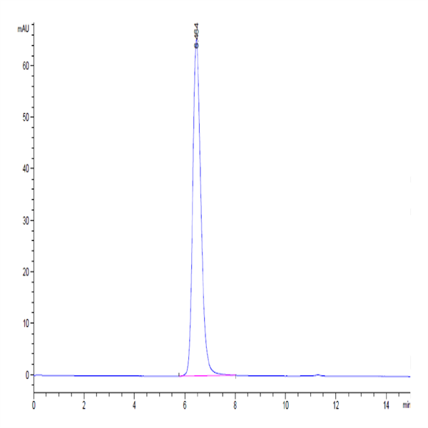 Human/Cynomolgus/Rhesus macaque CD28 Protein (CD8-HM228)