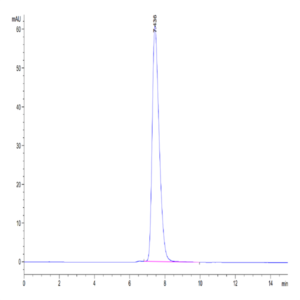 Human CD28H/IGPR-1 Protein (CD8-HM28H)