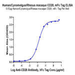 Human/Cynomolgus/Rhesus macaque CD28 Protein (CD8-HM328)