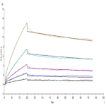Human/Cynomolgus/Rhesus macaque CD28 Protein (CD8-HM428)