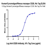 Human/Cynomolgus/Rhesus macaque CD28 Protein (CD8-HM428)