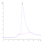 Human/Cynomolgus/Rhesus macaque CD28 Protein (CD8-HM428)