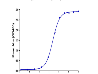 Biotinylated Human/Cynomolgus/Rhesus macaque CD28 Protein (CD8-HM428B)