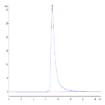 Human CD84/SLAMF5 Protein (CD8-HM484)