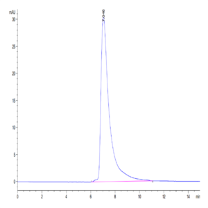 Human CD84/SLAMF5 Protein (CD8-HM484)
